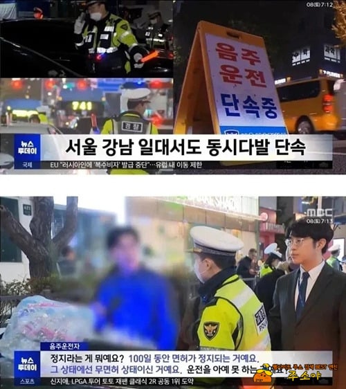 뇌정지네