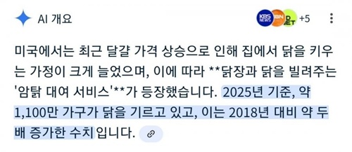 달걀이 가져다준 예상 밖의 반려동물