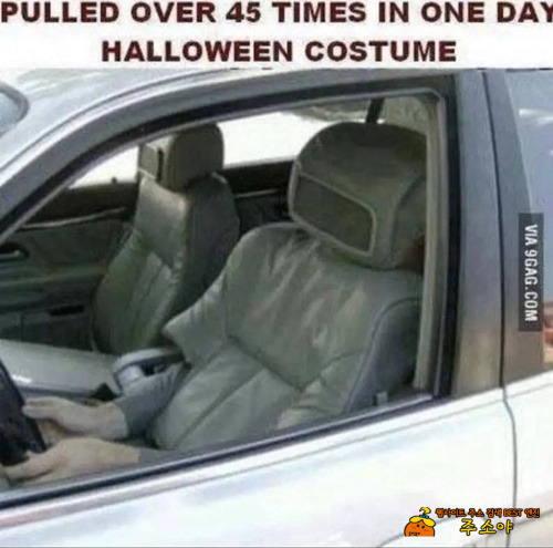 하루에 45번이다 단속당한 할로윈의상