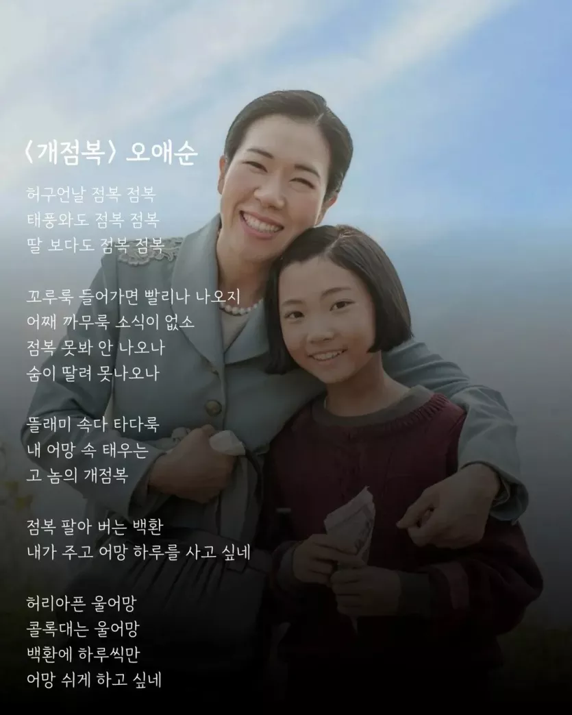 폭싹 속았수다 시詩 모음