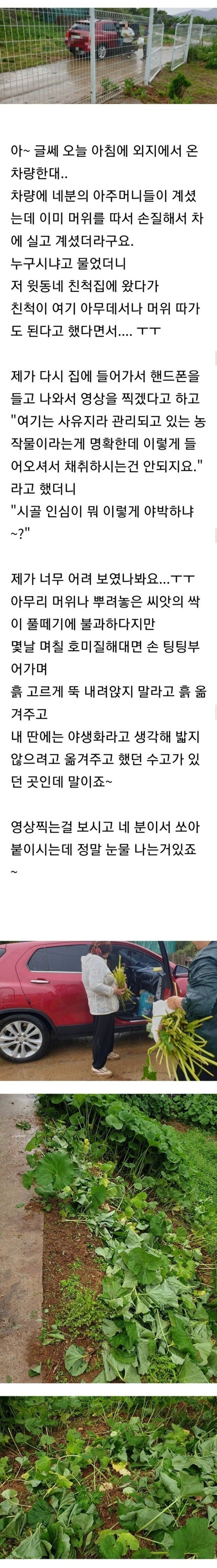 도둑년들