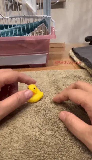 질투가 심한 편