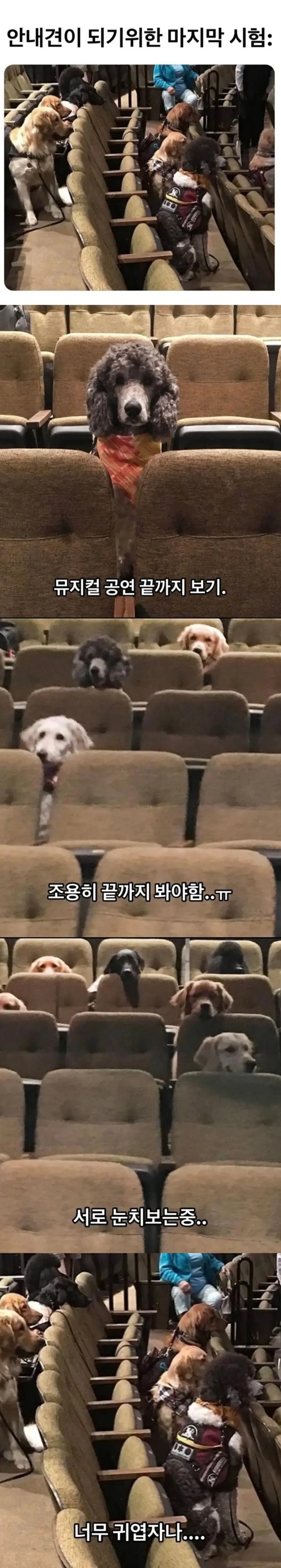 마지막 시험