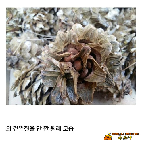 비싼 이유 비싼 이유