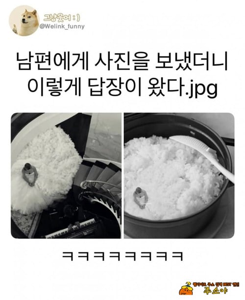 ㅋㅋㅋ 역시