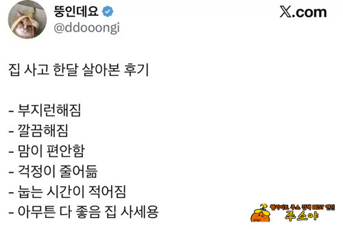내 집 사고