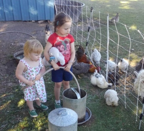 달걀이 가져다준 예상 밖의 반려동물