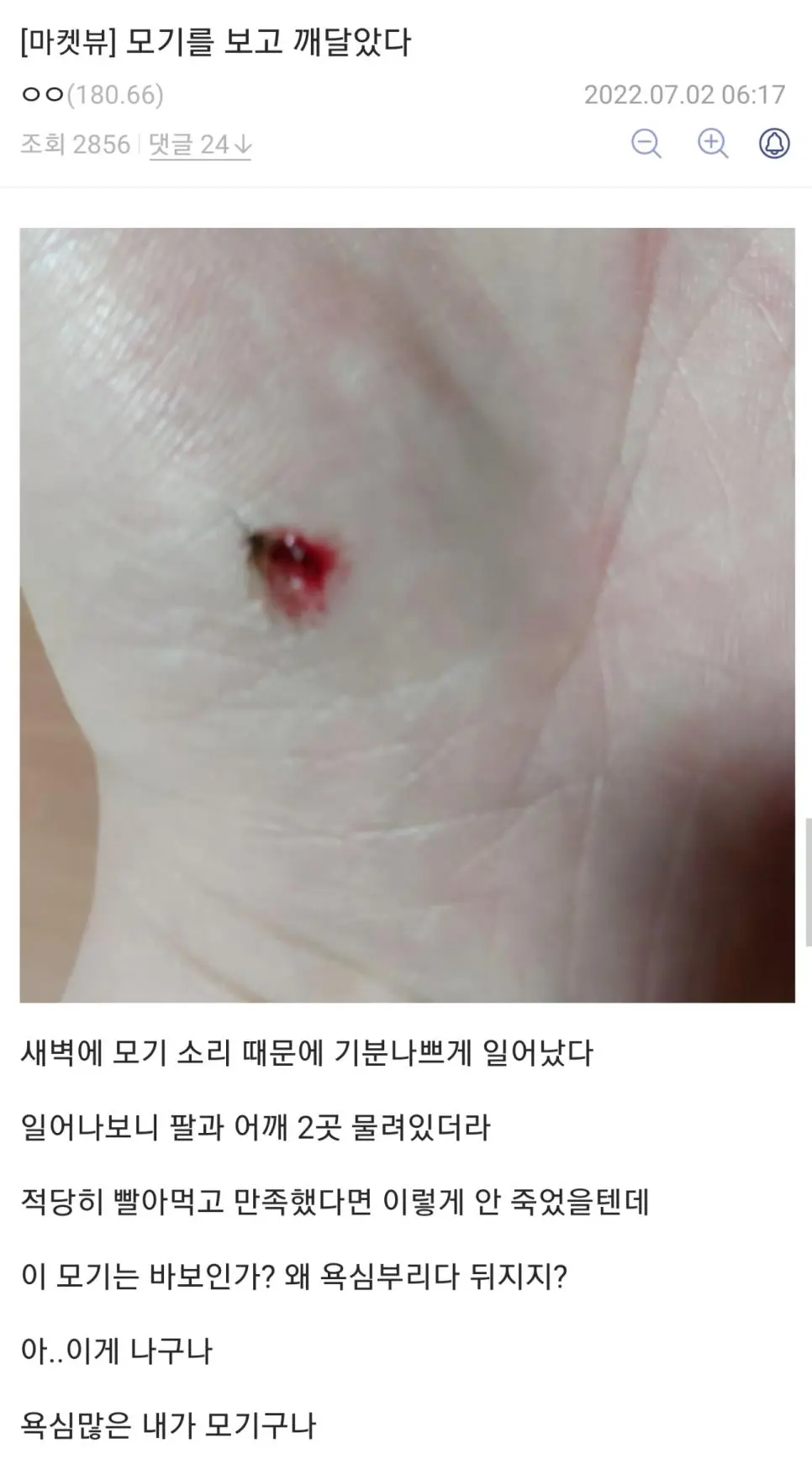 모기를 잡다 깨달은 디시인