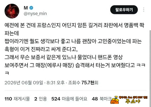 프랑스 노점 현실