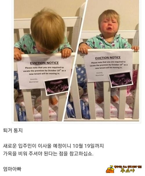 퇴거 통지