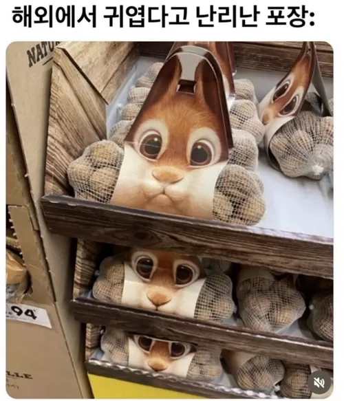 귀엽다고 난리난 포장