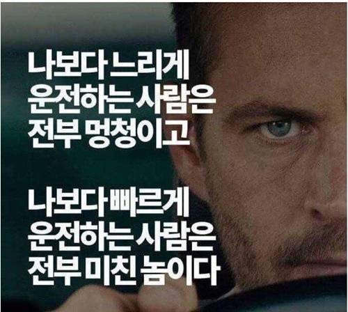 이런놈들은 운전하지 말아야지