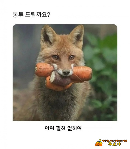 100원인데 봉투 드리까