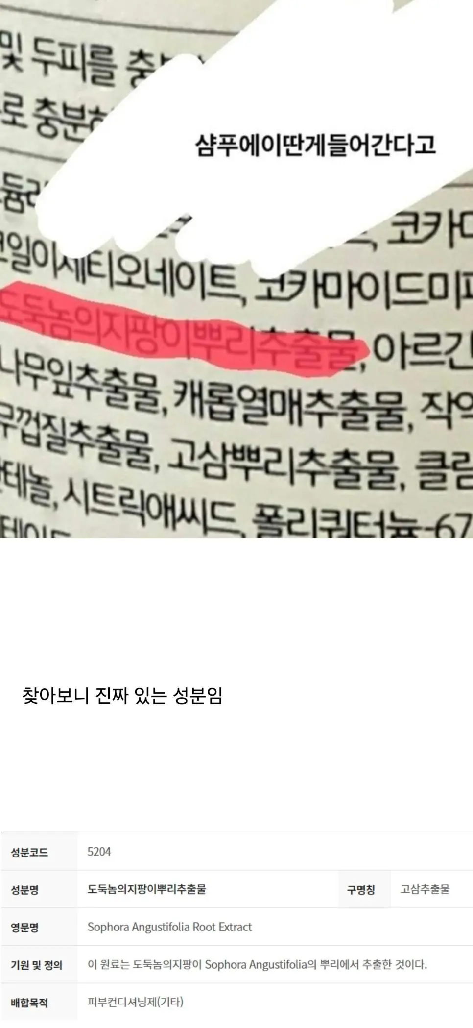 샴푸에 이딴 게 들어간다고..?
