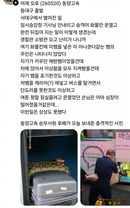 와..저걸 어케 실어..ㄷㄷ