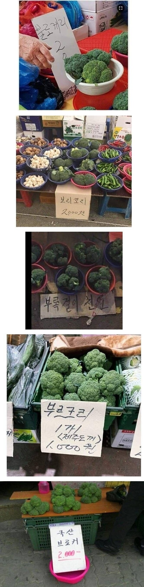한글 표기가 쉽지않은 채소