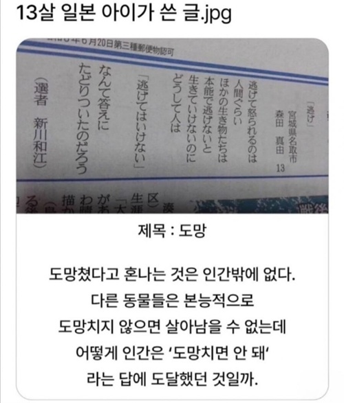 대박 맞는말이네