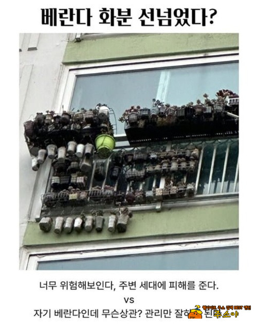 테러수준이네