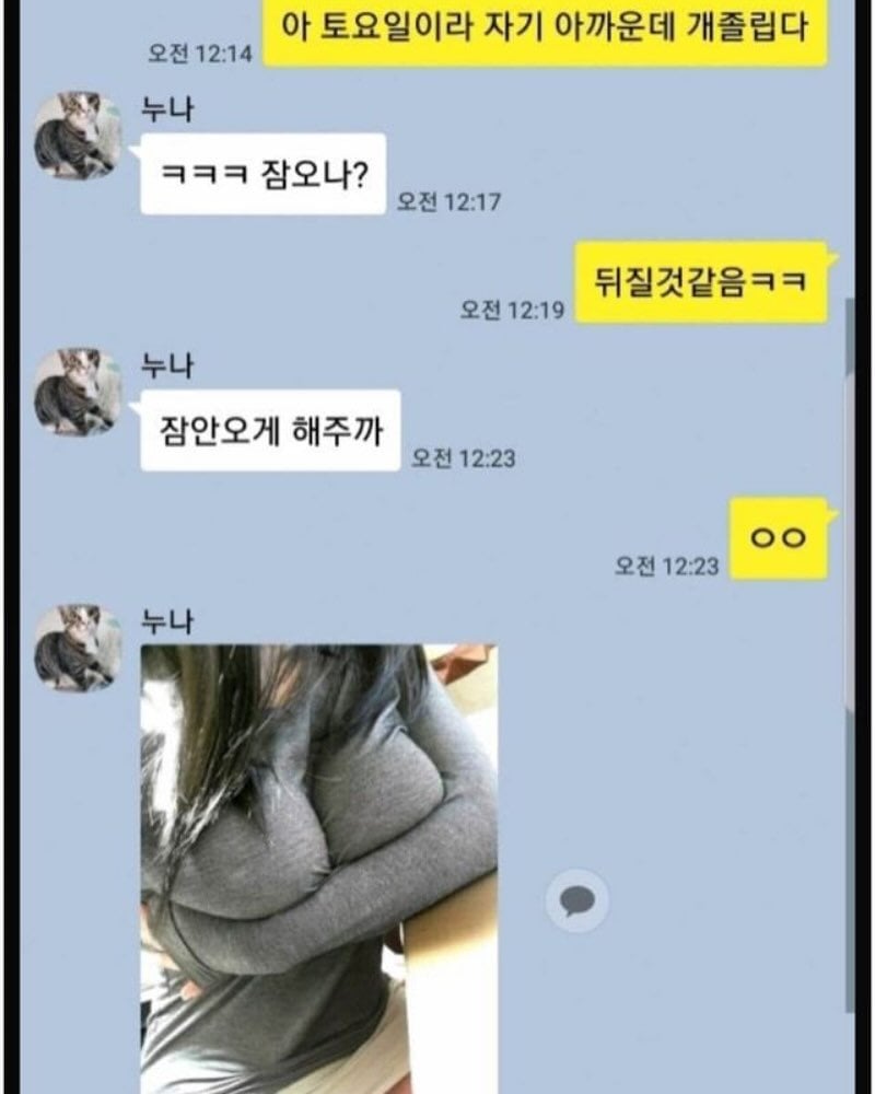 잠 안오게 해준다는 누나