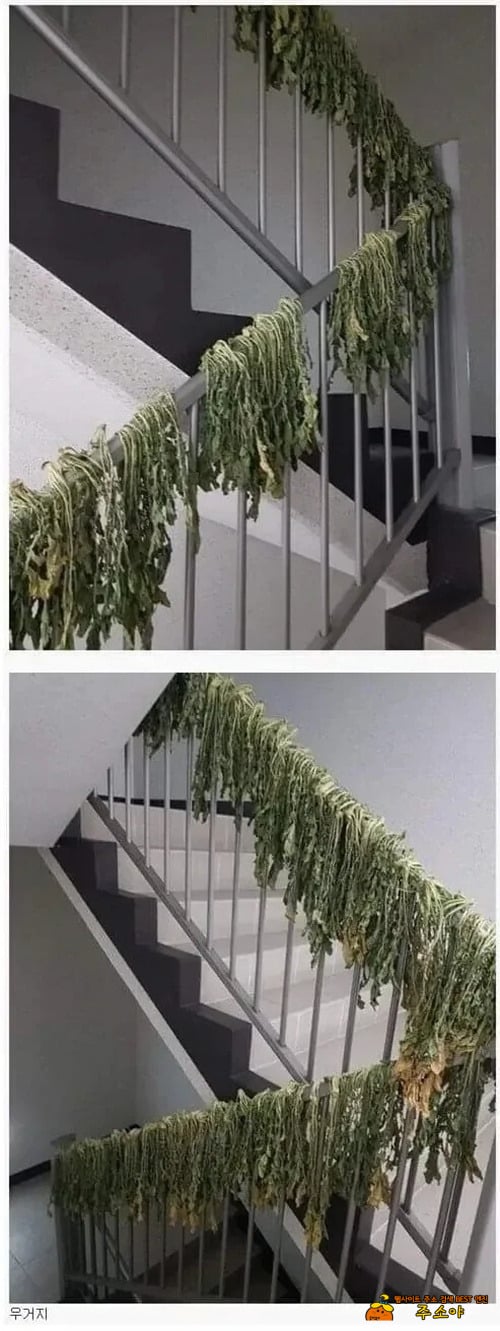 개민폐인거 모르나