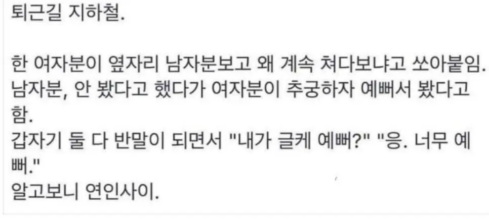 흔한 지하철 ㅊㅈ때문에 억울한 남자甲.