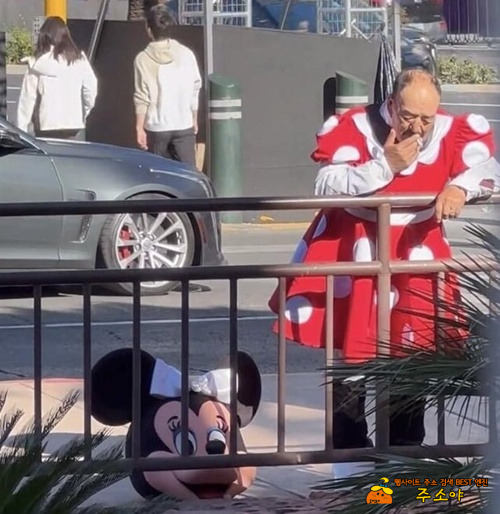 사는게 힘든 미니마우스