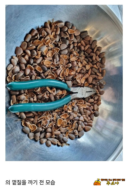 비싼 이유 비싼 이유