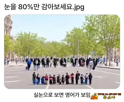 오~보이네