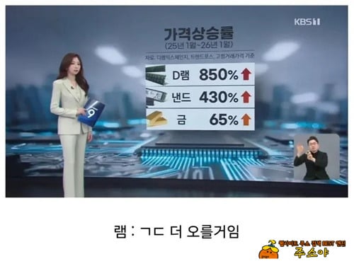 램 많이 오르긴 했네