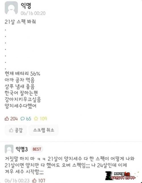 으이구~ 잘들 논다