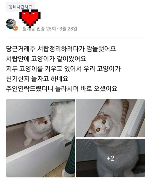 탈출실패