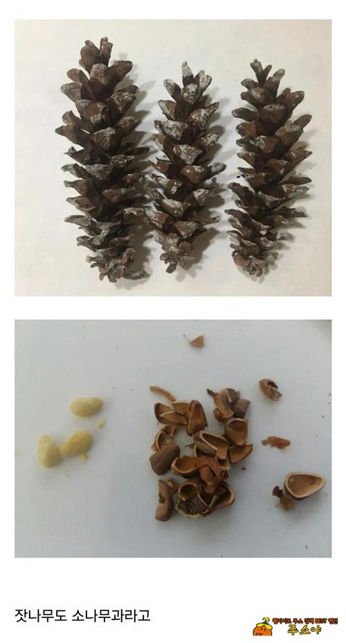 비싼 이유 비싼 이유