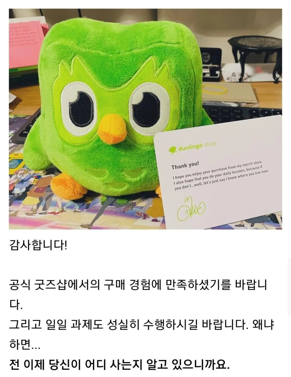 듀오링고 인형 사면 주는 편지