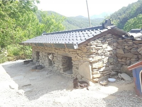 개집 으리으리하네