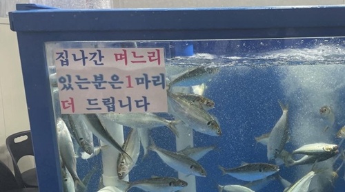 벌써 제철이 왔군요